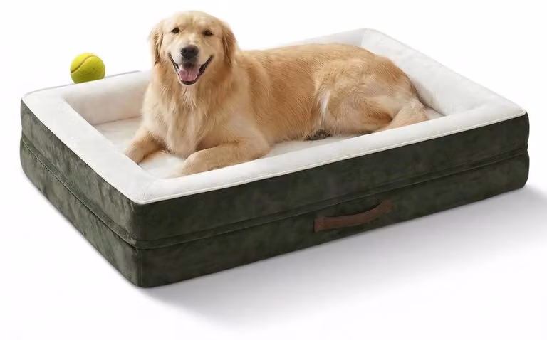 Cuccia ortopedica per cani, taglia XL, lavabile, colore verde oliva, dimensioni 117x76x19 cm