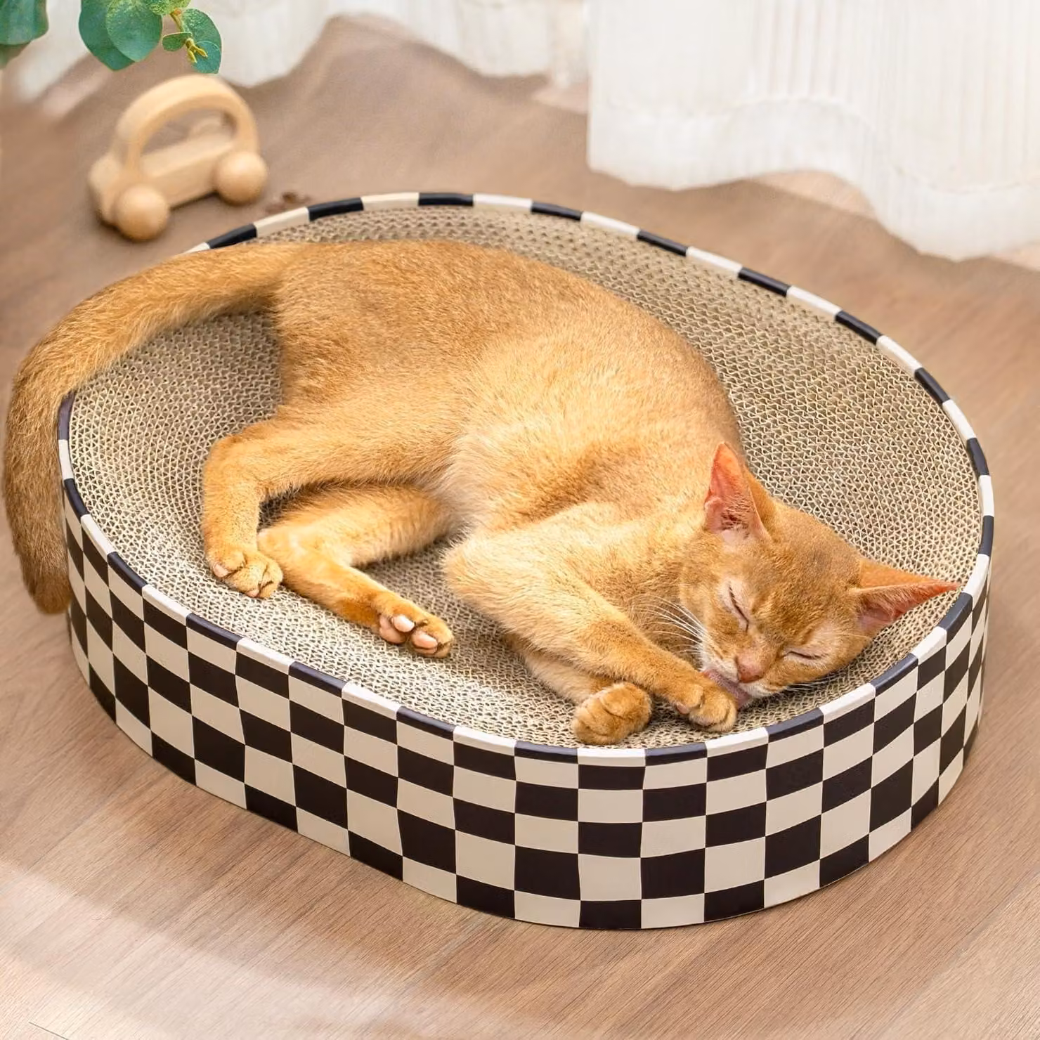 Albero per gatti in cartone, modello ovale 2-in-1, con superficie di riposo circolare, ideale per gatti da interno