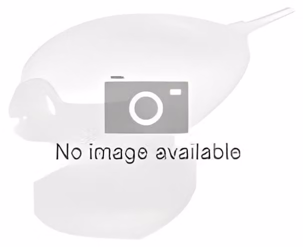 Olympia 6022 Olympia IP Camera OC 1000 Outdoor