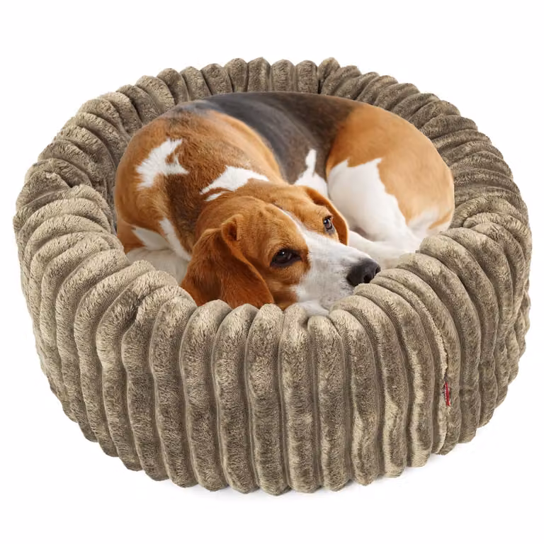BOUTIQUE ZOO Ciambella per cani S 47 cm verde oliva | Cestino rotondo per cani con cuscino | antiscivolo e facile da pulire