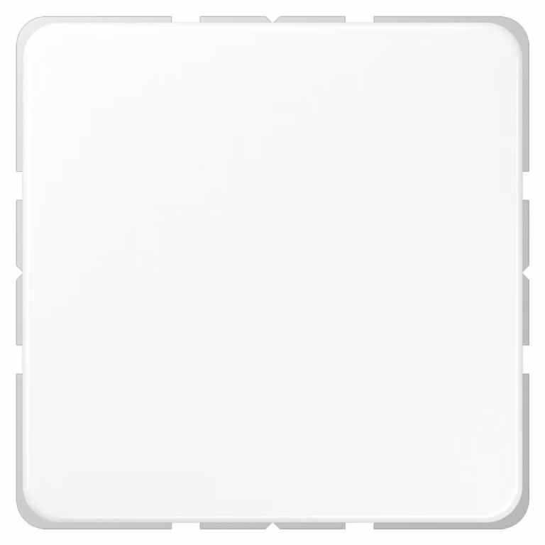 Coperchio cieco Jung aws compl. con anello di supporto CD 594-0 WW