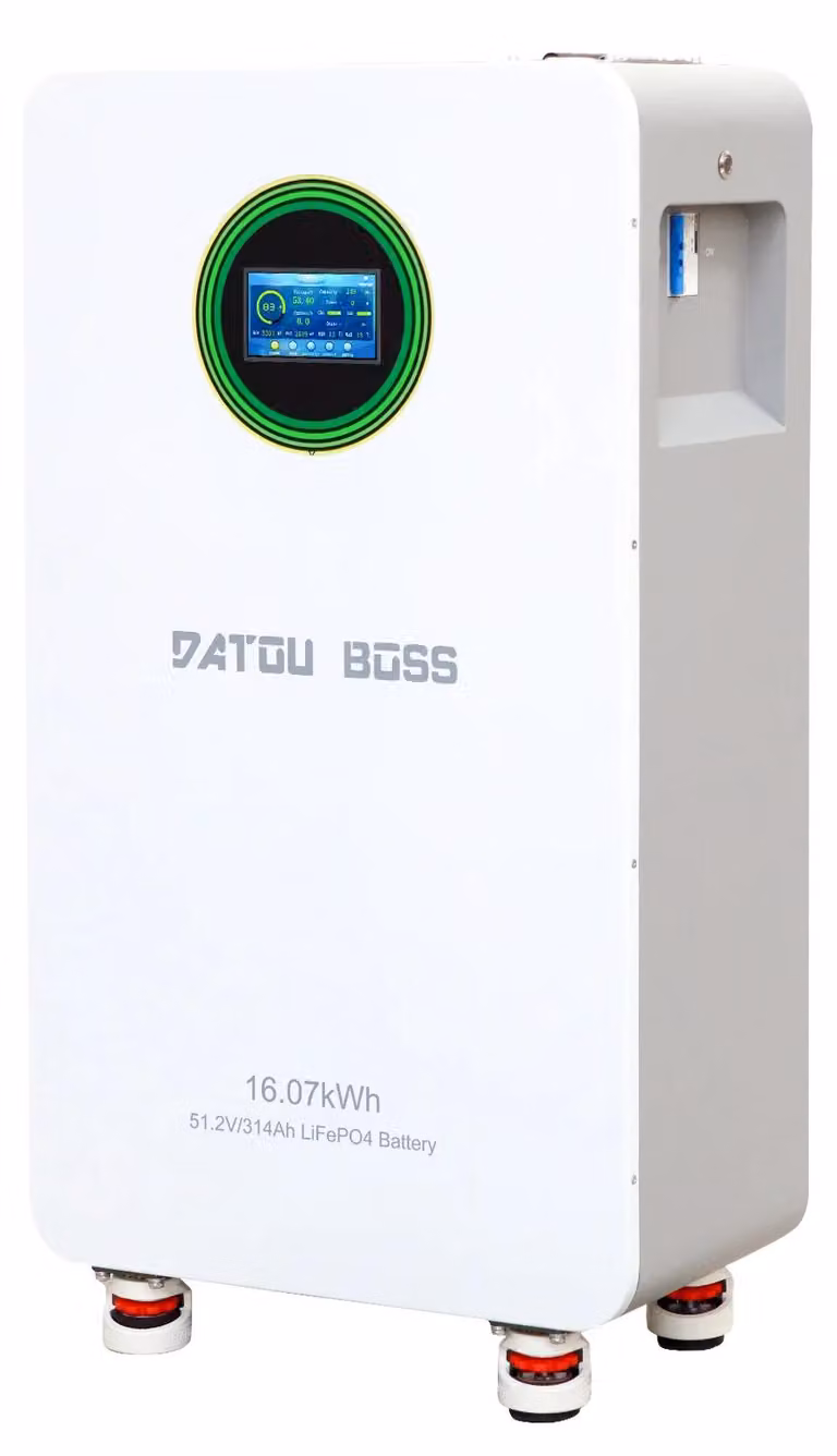 Batterie LiFePO4 - Modello DT-48314 - 16 kWh - 314 Ah - 48 V - Protezione BMS - Accumulo per energia solare - Adatte per inverter ibridi