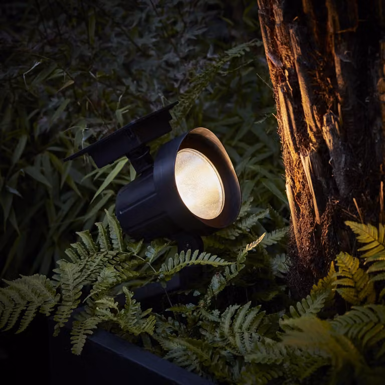 Set di 2 luci solari da esterno con cambio colore e timer