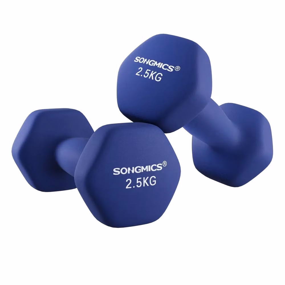 Set di 2 Manubri