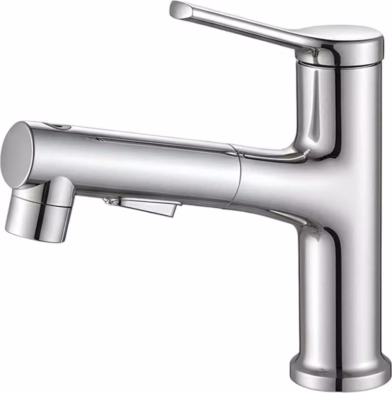 Avizar, rubinetto estraibile multifunzionale per lavabo con funzione di risciacquo orale, argento