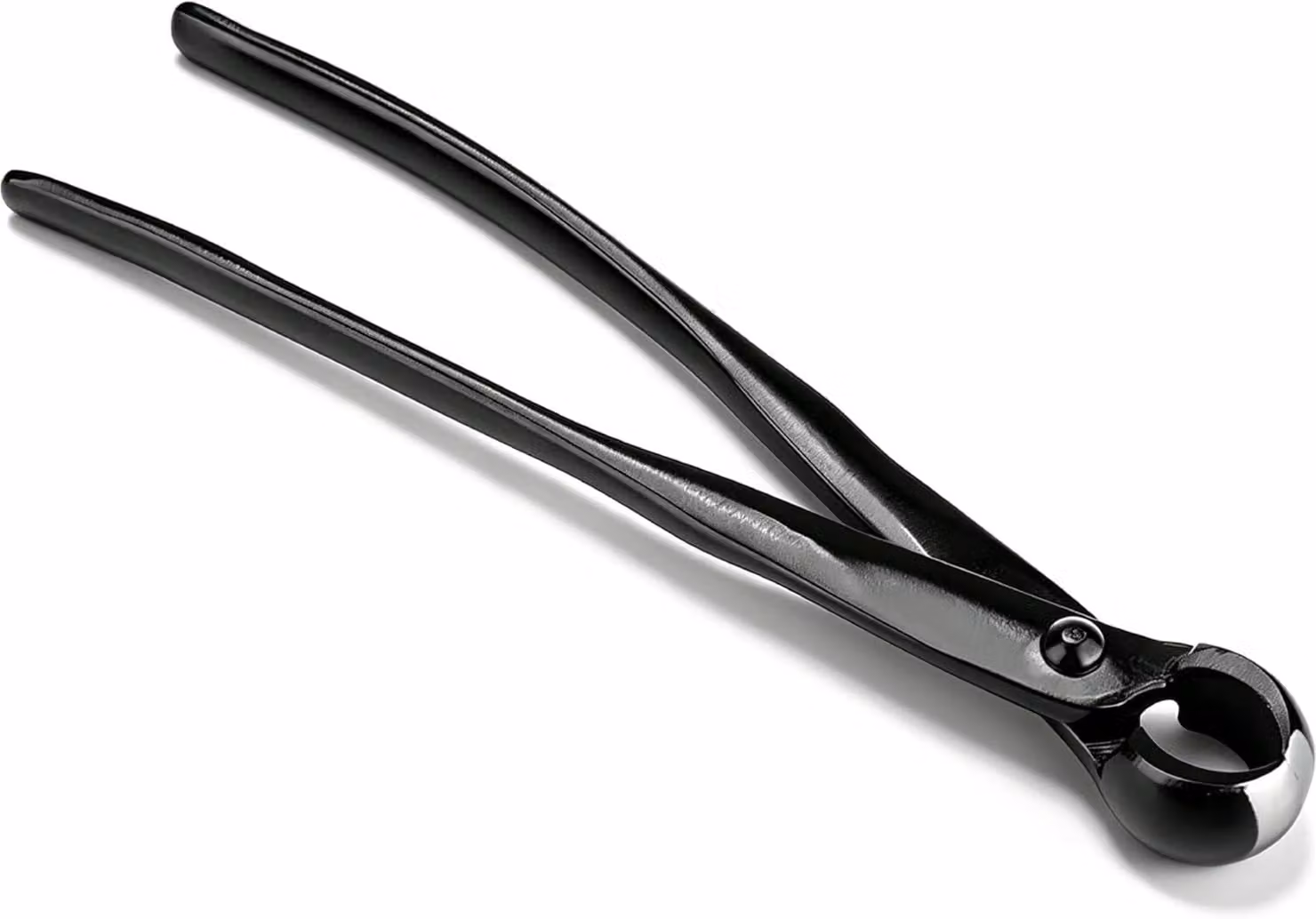 Forbici concave per bonsai, con supporto, 210 mm, per un taglio preciso