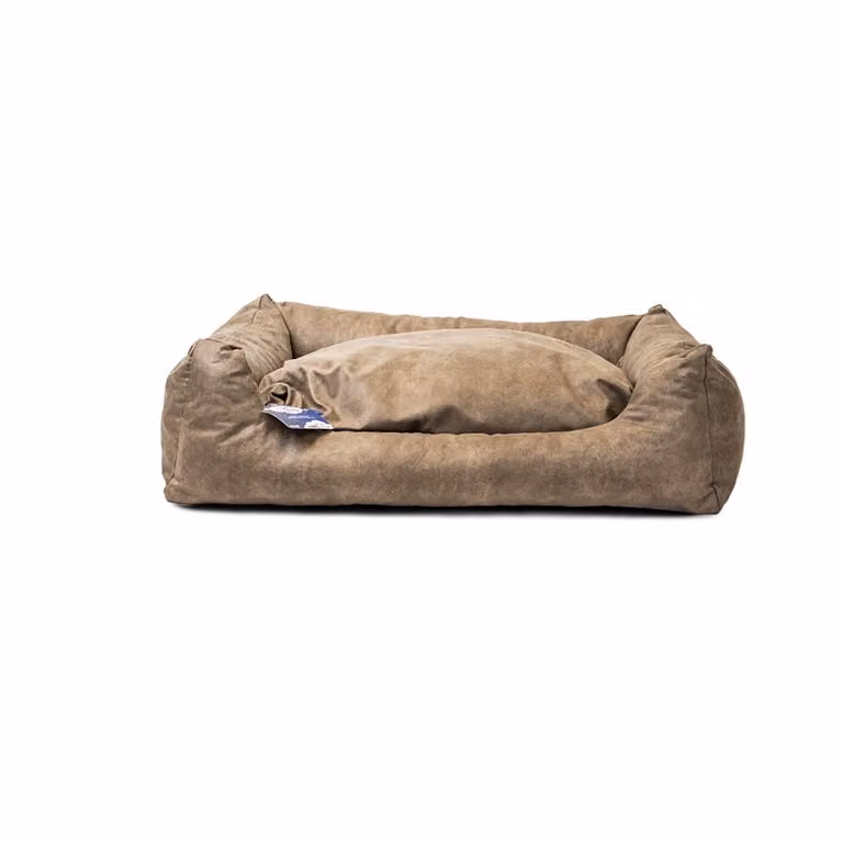 Letto per cani Lets Sleep Sweet Dreams con cuscino color tortora, misura: L