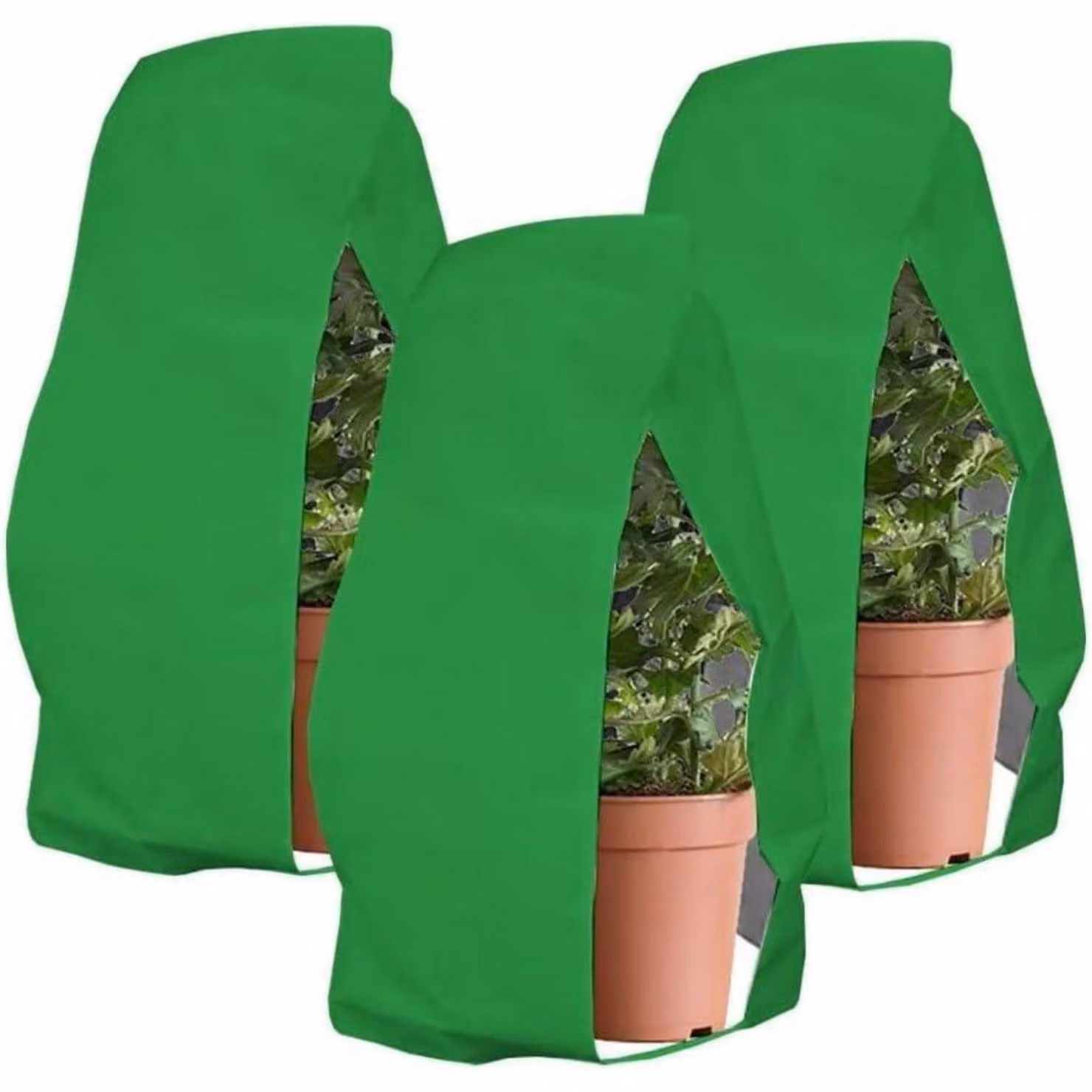 Copertura protettiva per piante, confezione da 3 pezzi, dimensioni 80x120 cm, colore verde