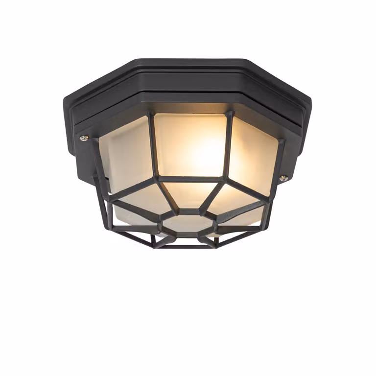 Lampada da soffitto Rural grigio scuro IP44 Bri S