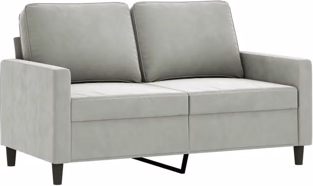 Divano | Divano da soggiorno | Sofa a 2 Posti Grigio Chiaro 120 cm in Velluto