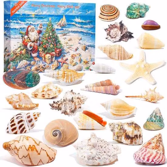 Calendario dell'Avvento 2025 - regalo di Natale - Conchiglie - Stelle marine - Conchiglie marine - Tema natalizio marino - Conto alla rovescia per il Natale - 24 colori/forme diverse - Decorazioni per la casa