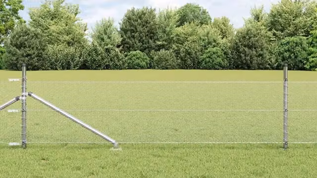 Recinzione esagonale con palo 100 x 0,8 m Acciaio zincato Rete 3353444