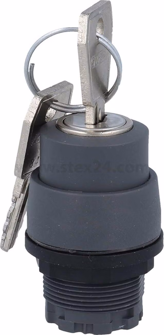 Georg Schlegel Chiave a sinistra con arresto, a destra rotonda, RONDEX Illuminabile: No Scrivibile: No - 1 pezzo