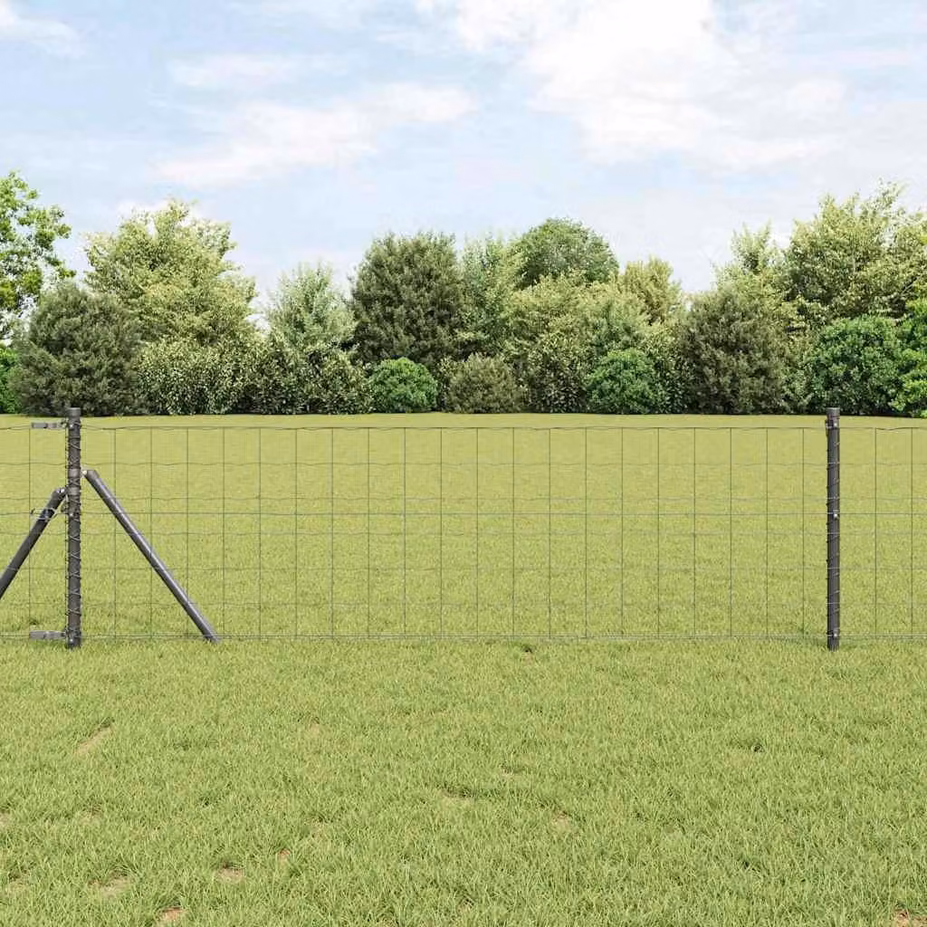 Maison Exclusive - Recinzione Eurozaun, 0,6 x 50 metri, ferro rivestito in PVC, colore grigio