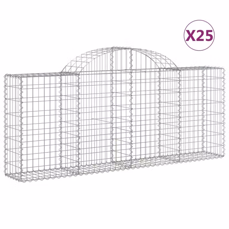 Cesti Gabbioni ad Arco 25 pz 200x30x80/100 cm Ferro Zincato