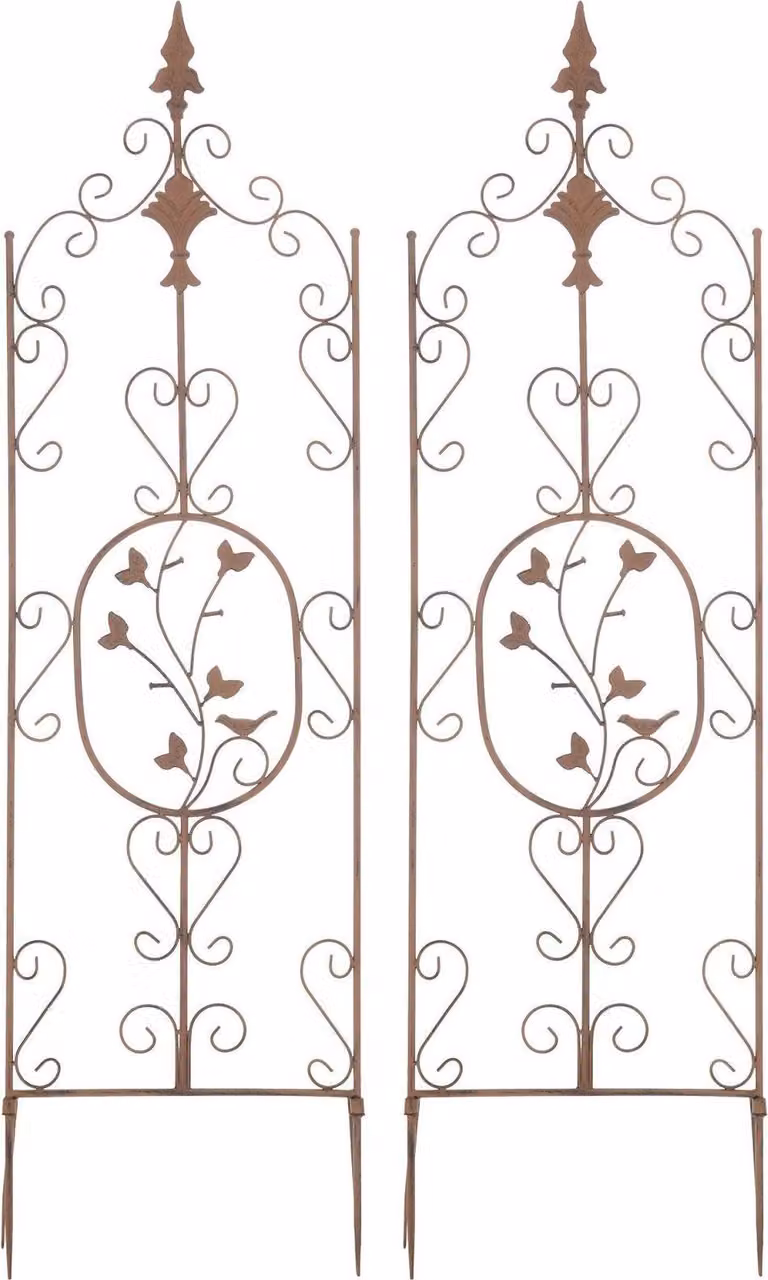 Set di 2 cancelli per arrampicata - Mensole da giardino - Struttura in ferro robusta e fatta a mano con un look vintage