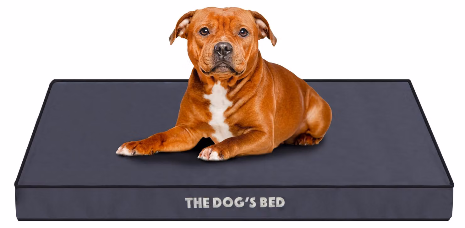 Letto ortopedico per cani con coperture sostituibili, colore grigio