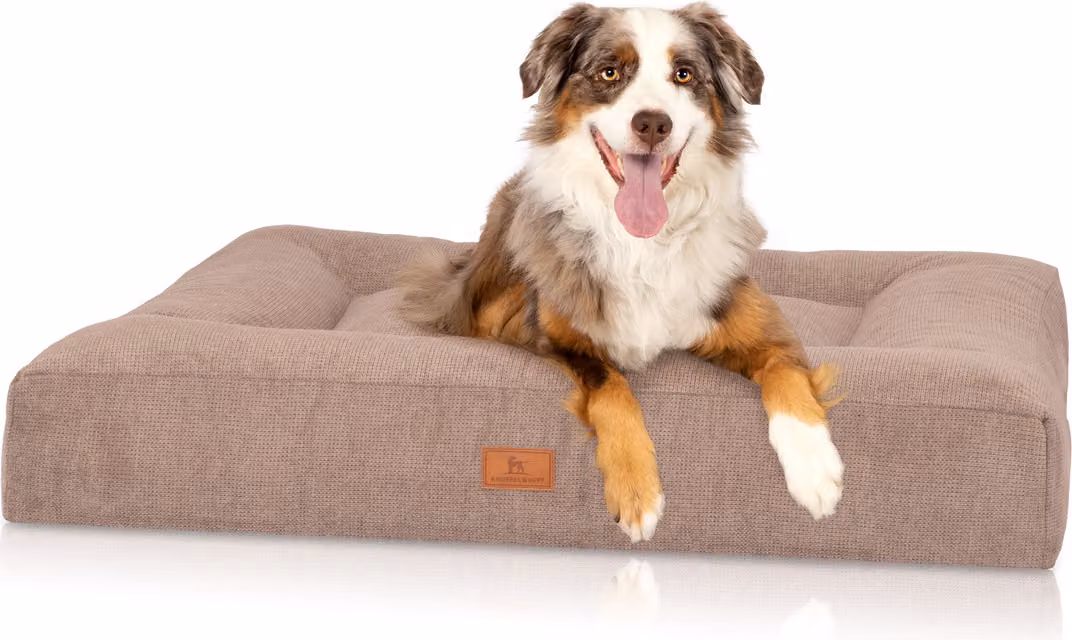 Letto ortopedico per cani Sofia L Beige