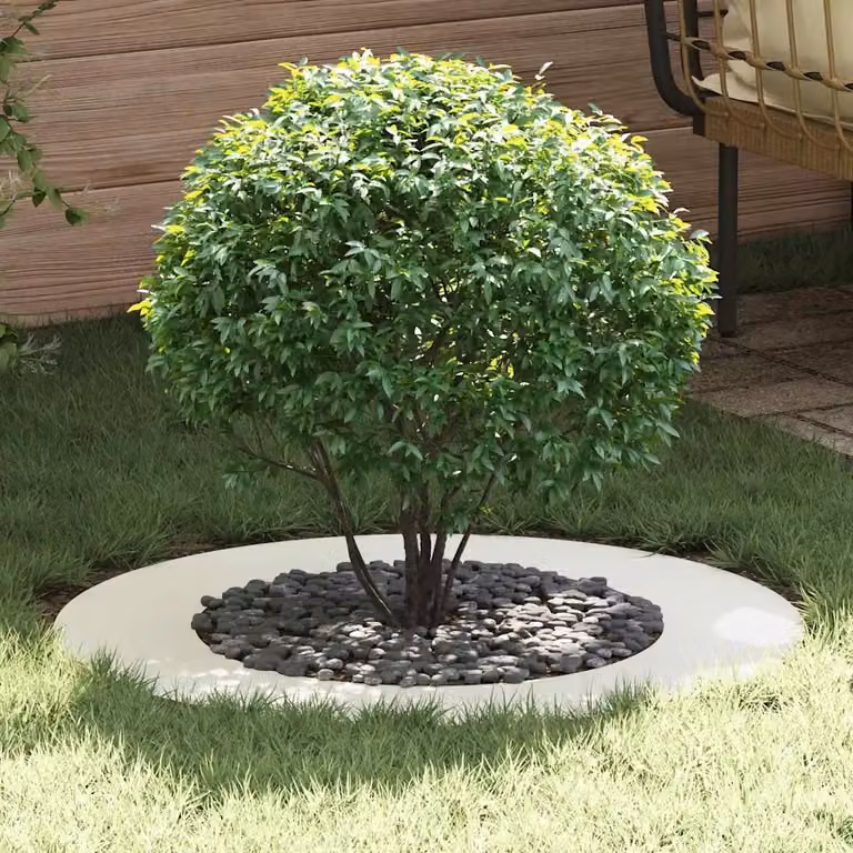 Set di 5 anelli d'albero piatti vidaXL in acciaio bianco per piante ornamentali Ø 50/80 cm