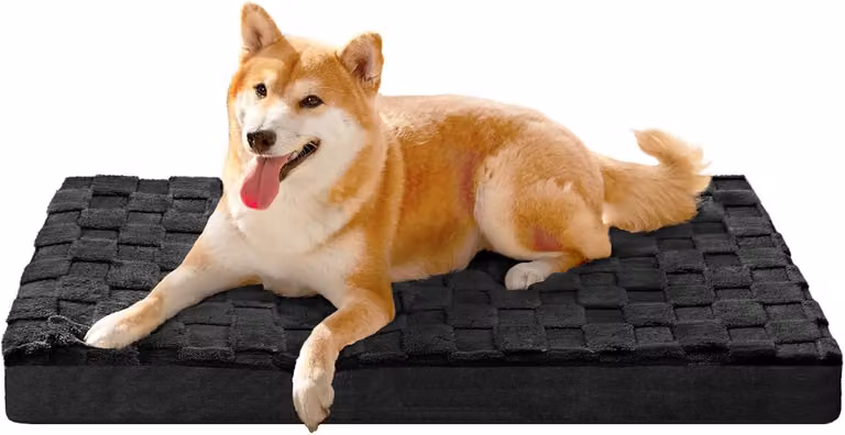 Cuccia ortopedica per cani, 76 x 51 cm, per uso interno, realizzata in schiuma viscoelastica, con rivestimento removibile, antiscivolo, colore nero