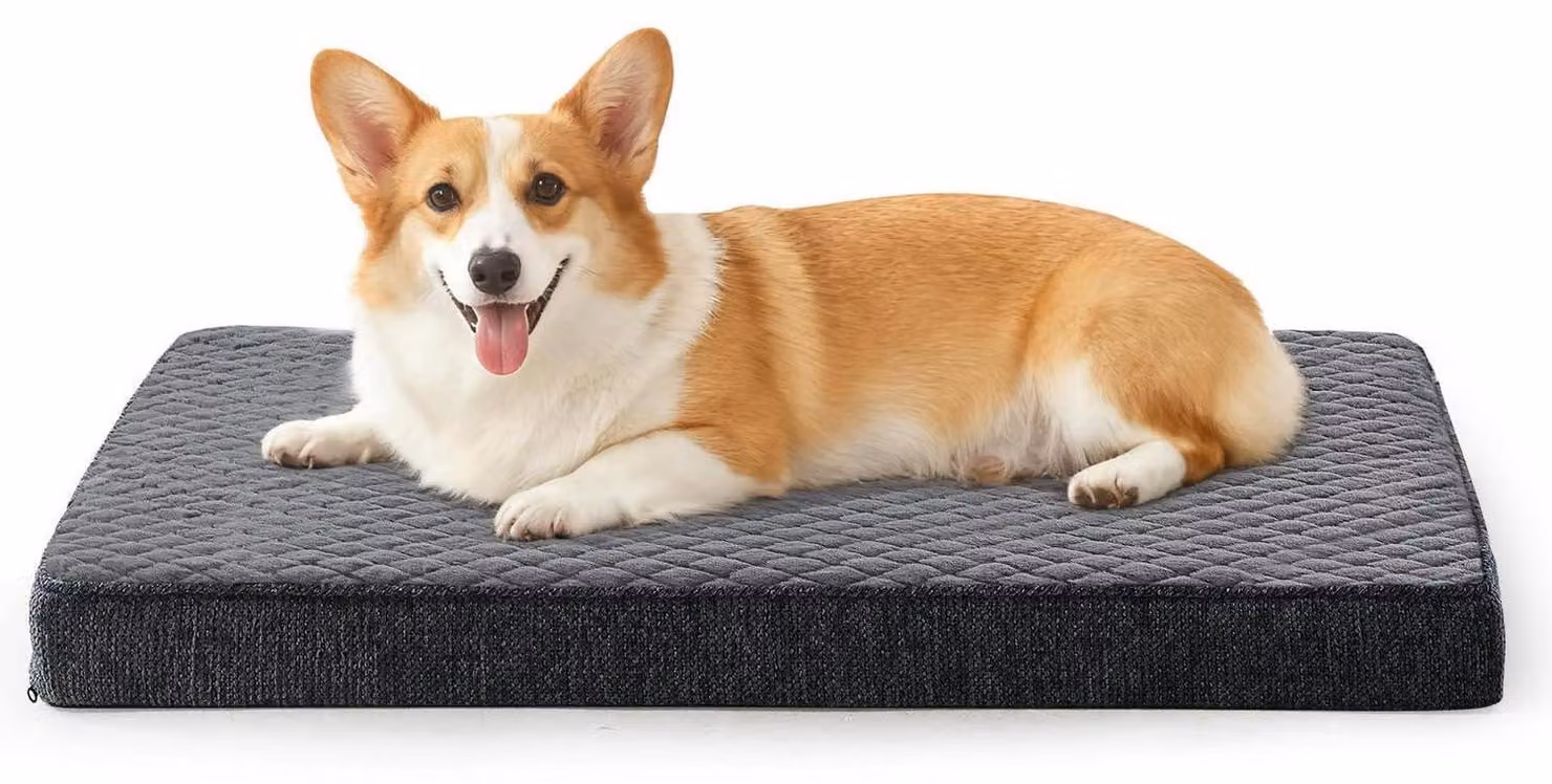 Cuccia ortopedica per cani, taglia media, 76x46x7,5 cm, colore grigio scuro
