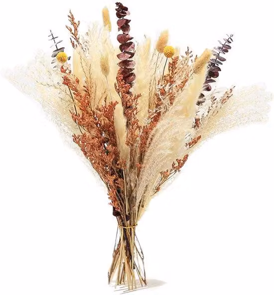 Set Azomor con 34 erbe della pampa essiccate per decorazioni d'interni in stile bohémien