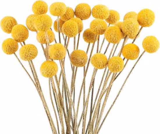 Decorazione con fiori secchi gialli, 32 pezzi