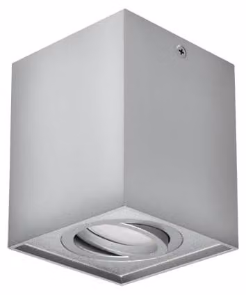 Plafoniera HARY D GU10 SILVER IDEUS 7154
