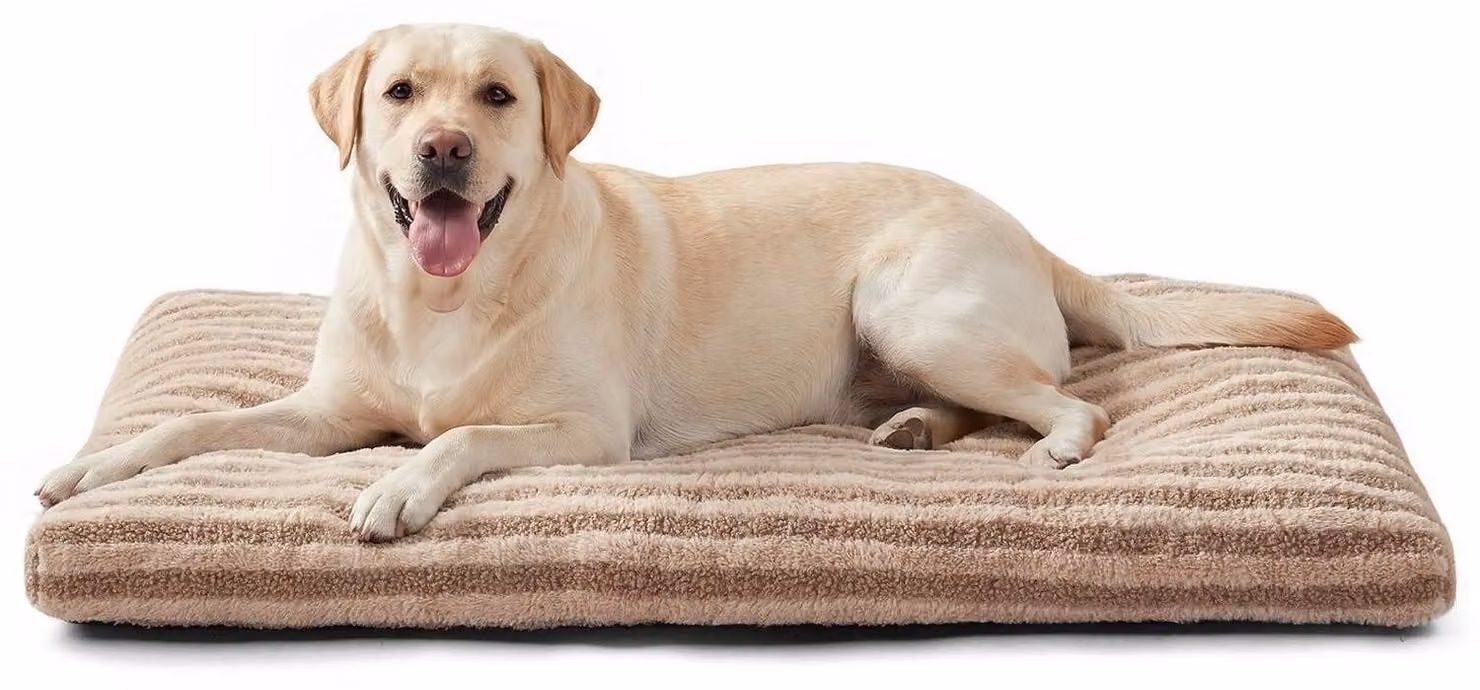 Cuccia per cani, 90x60x9 cm, marrone, lavabile, morbida, ortopedica, antiscivolo