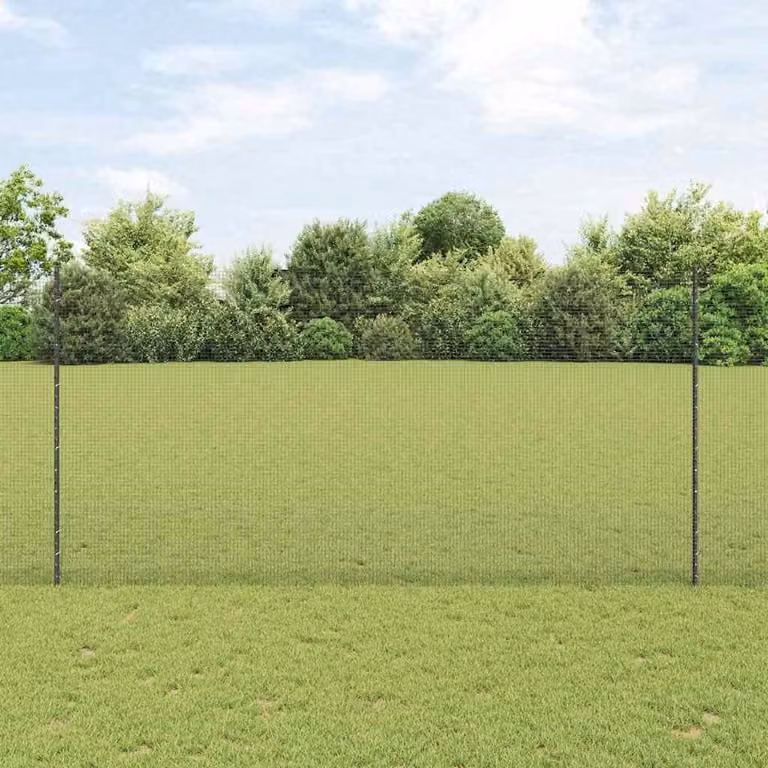 Recinzione in rete saldata con palo 50 x 1,5 m (L x H)