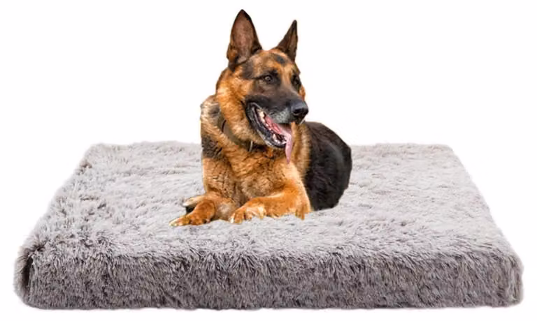Cuccia per cani in peluche con memory foam, cuscino ortopedico per cani, lavabile, antiscivolo, colore caffè, dimensioni 40x30x5 cm