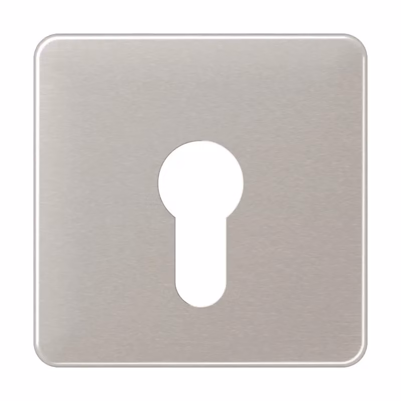 Jung CD525PT Copertura per interruttore a chiave, piatta