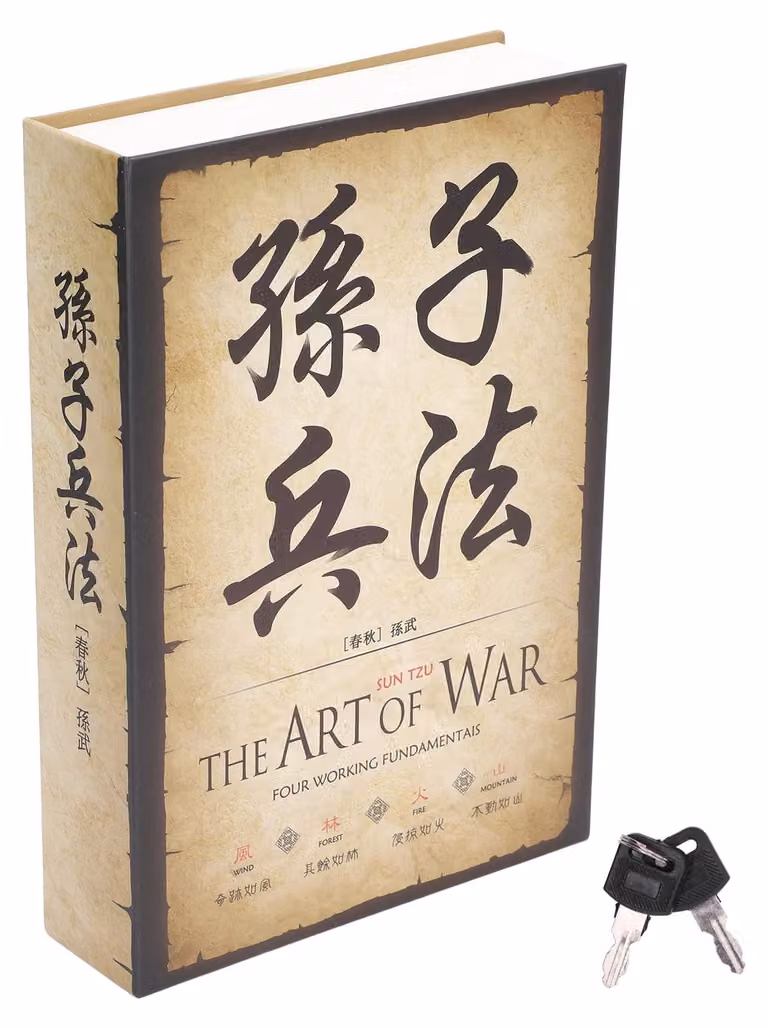 Cassaforte portatile a forma di libro - Dimensioni: 22 x 15 x 4,2 cm