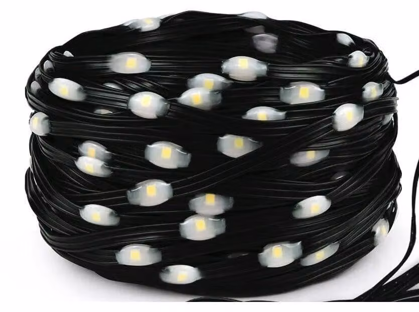 Catena luminosa a LED, 5 metri, luce bianca fredda, alimentazione a batteria (3 batterie AA), materiale: PVC/rame