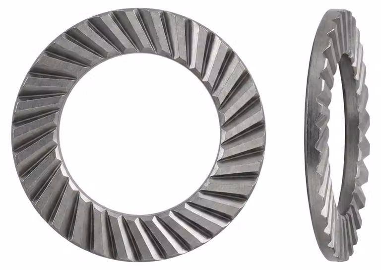 Dischi Schnorr 1.4301 VS 10 A 2 S 1000 pz