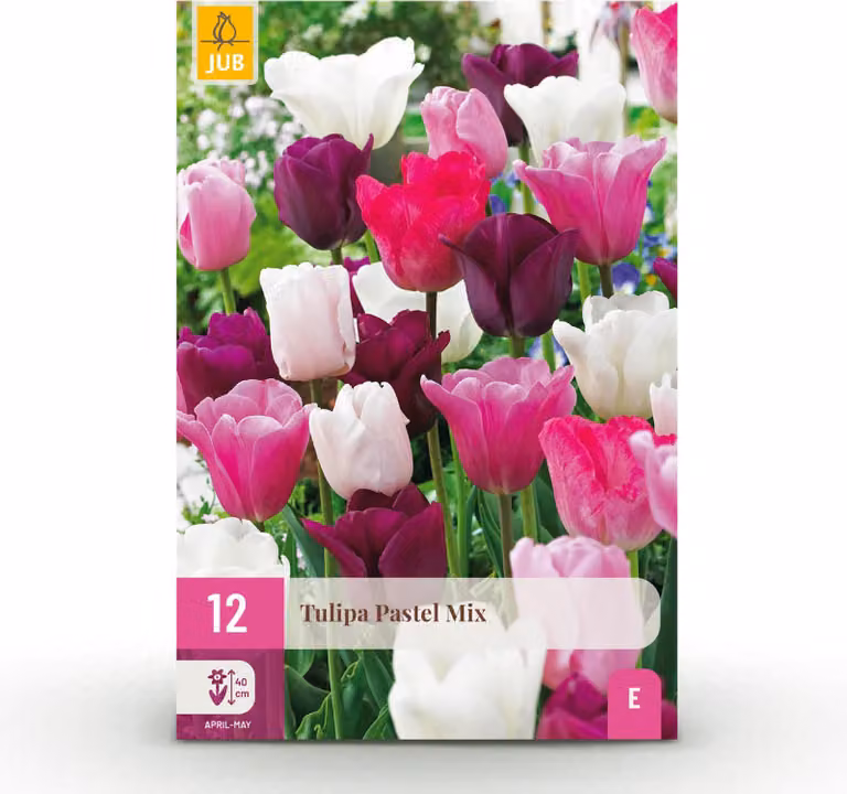 Bulbi da fiore - Tulipano 'Pastel mix' - Colori vari - 12 pezzi - Bulbo 11/12 - 20-50cm - Ø5cm - Pianta da giardino - Multideal