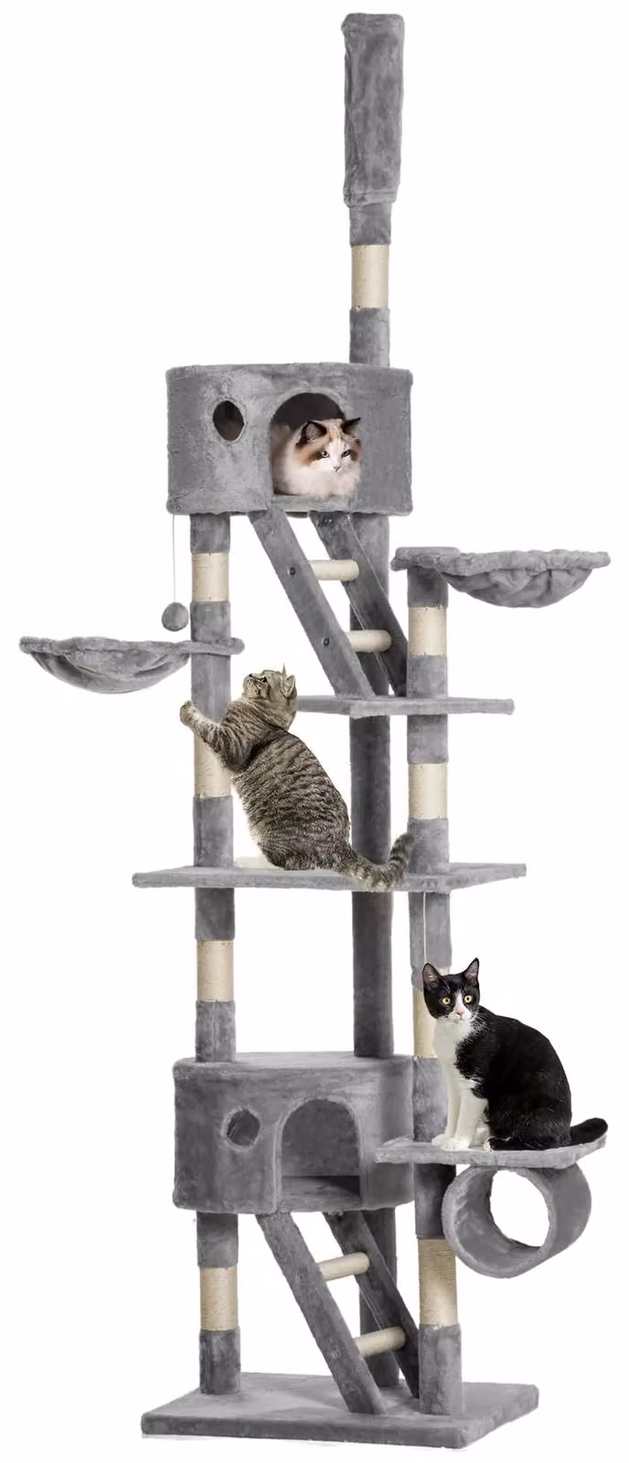 Pawhut Tiragraffi per gatti, albero da arrampicata, altezza regolabile fino al soffitto, grigio chiaro