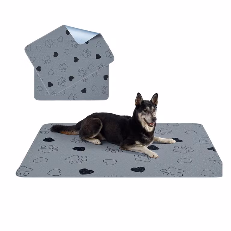 Tappeti Lavabili per Cani, Grigio / XL (152 x 122 cm)
