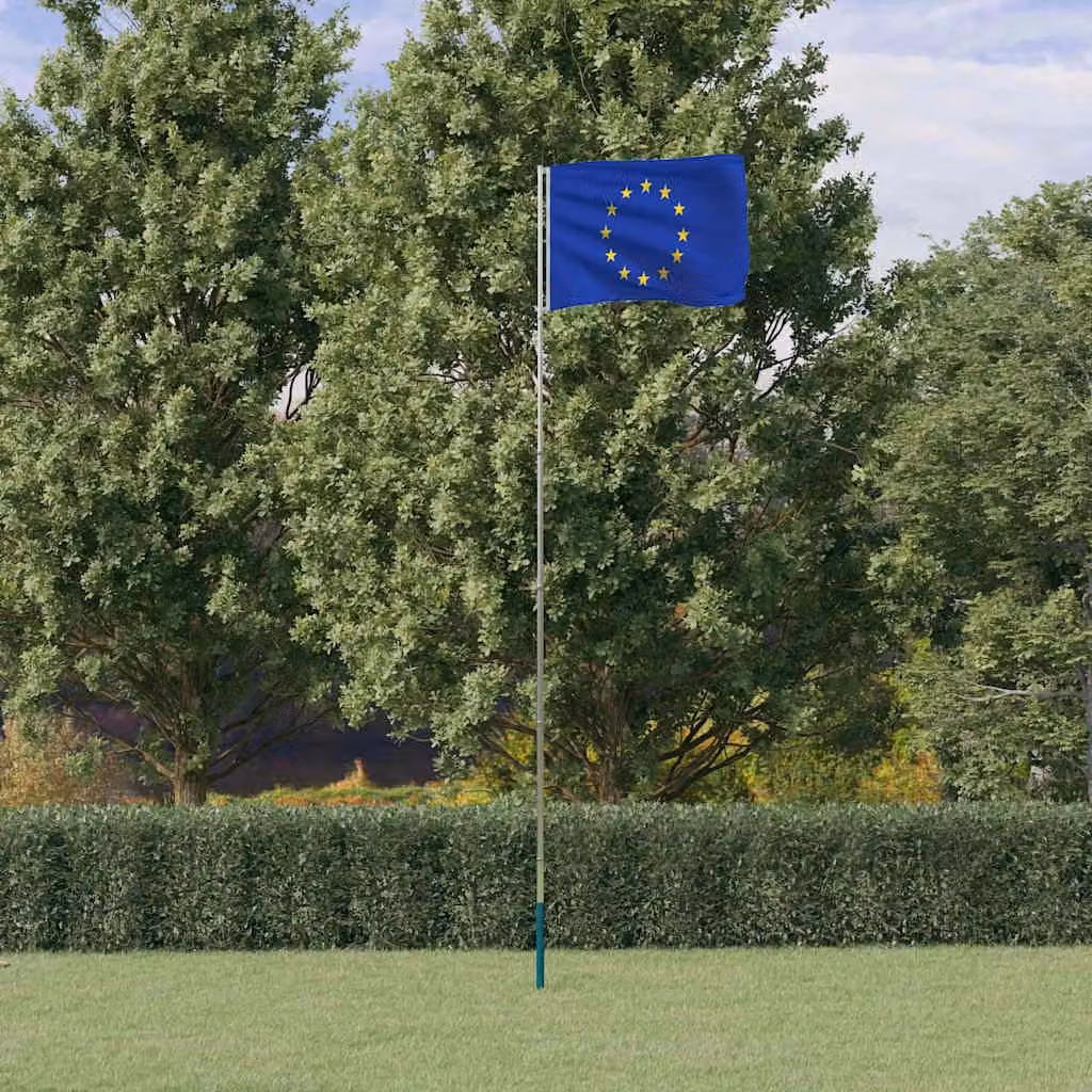 vidaXL Asta e Bandiera Europa in Alluminio Argento e Poliestere Multicolore, Altezza: 5,5 m