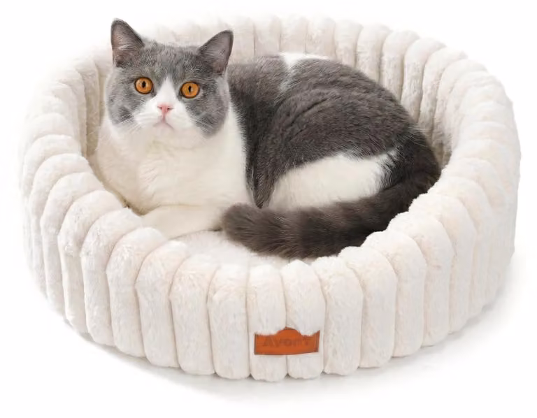 Cuccia per cani lavabile, con base antiscivolo, color crema (taglia M)