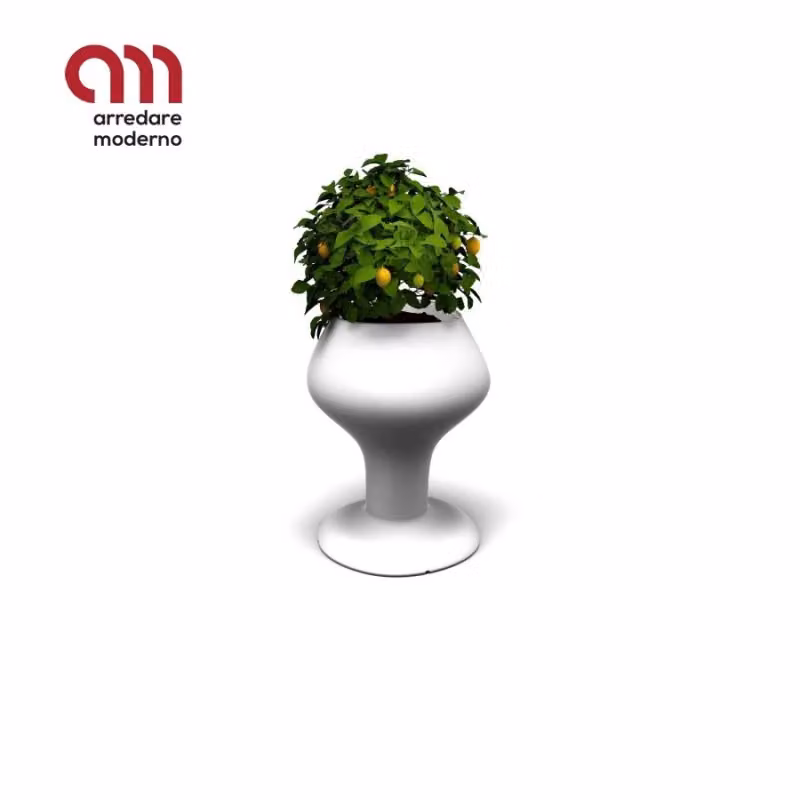 Vaso Gaudì Modum illuminabile