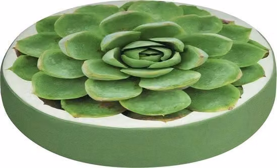 Set di 2 cuscini per sedile rotondi SANDINI con motivo floreale verde, rivestimento in velluto lavabile e rimovibile, Diametro: 38 cm