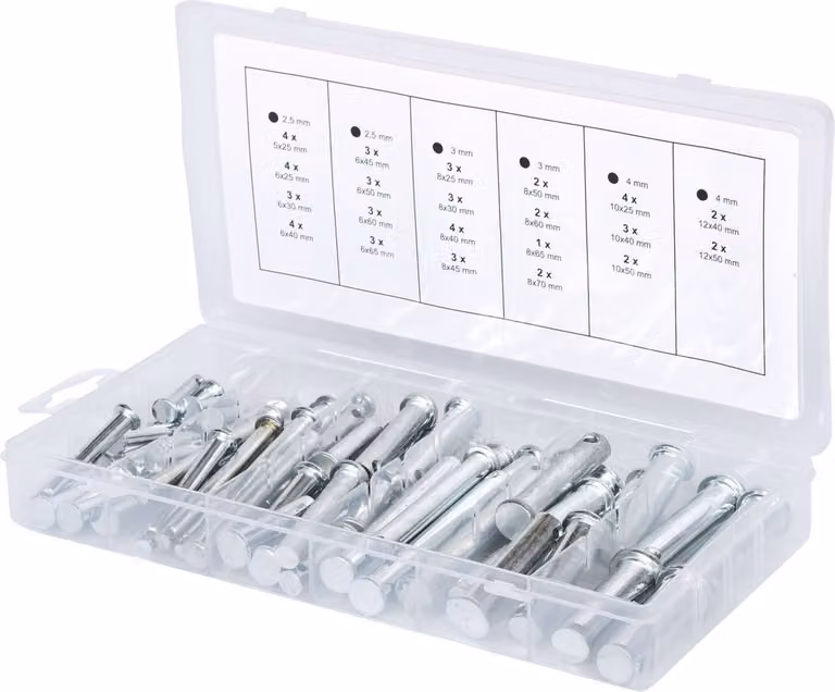 KS TOOLS Assortimento di bulloni di bloccaggio, Ø 5-12 mm, 21 misure, 60 pezzi ( 970.0210 )