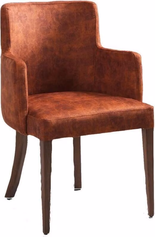 Stuhl Design Wohnzimmer Esszimmer Echtes Holz Stühle Polster mit Armlehne
