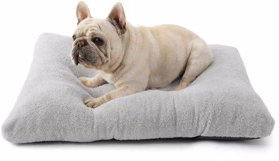 Letto per cani di grandi dimensioni con fondo antiscivolo, grigio, 74x53x8 cm