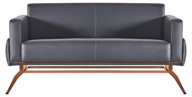 Sofa 2-Sitzer Schwarz Modern Design Einfarbig Arbeitszimmer Wohnzimmer