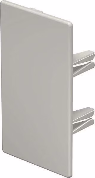 OBO Bettermann Vertr terminale 60x110mm WDKH-E60110RW