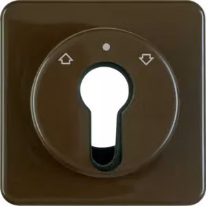 Berker 151811 Elemento centrale per interruttori a chiave/pulsanti per tapparelle, marrone lucido, versione da incasso, IP44