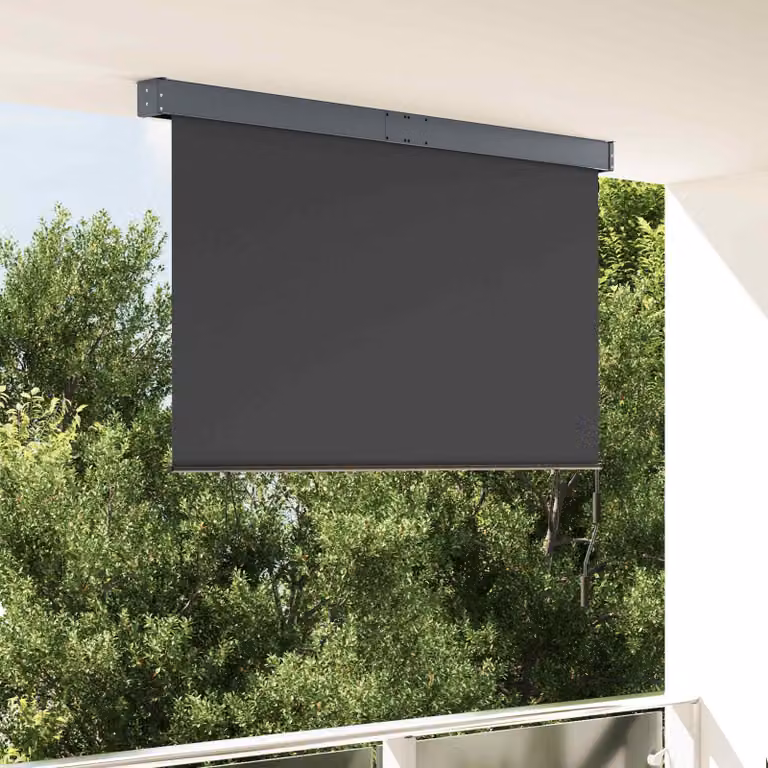 vidaXL Tenda a Rullo per Esterni 160x250 cm Antracite