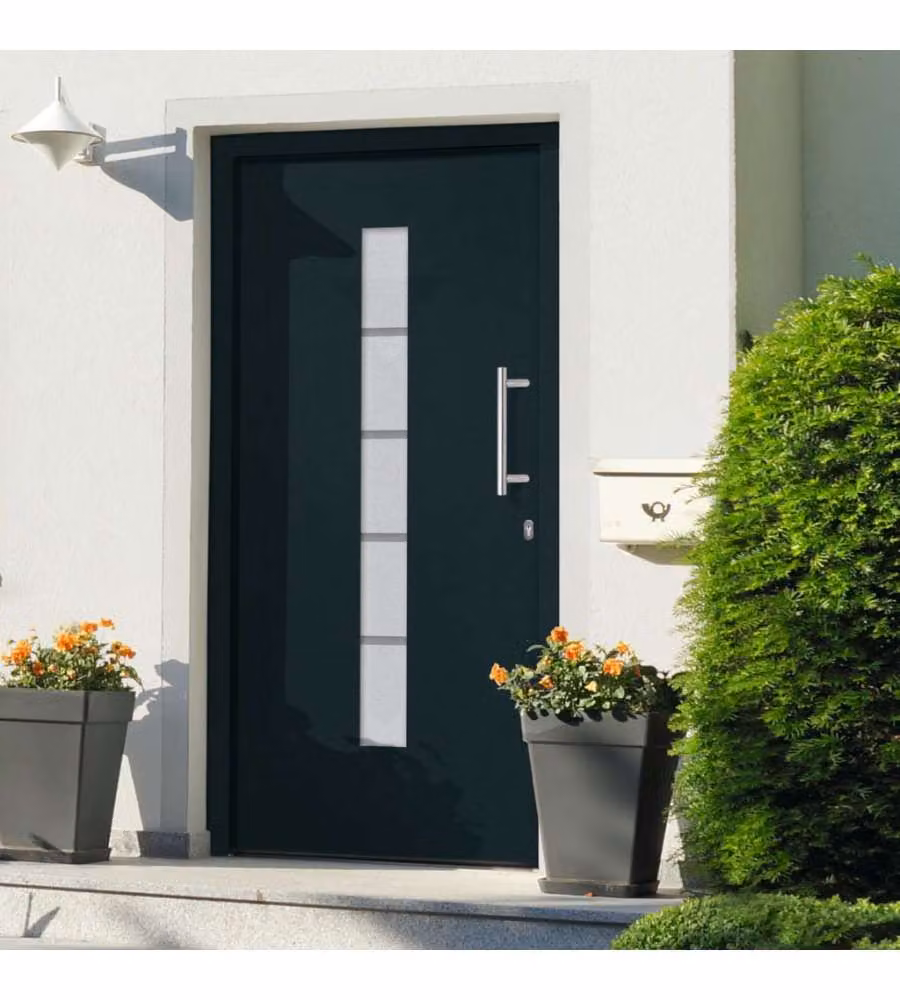 Porta d'Ingresso Moderna in Alluminio e Plastica Antracite vidaXL L: 100 cm, H: 200 cm – 1